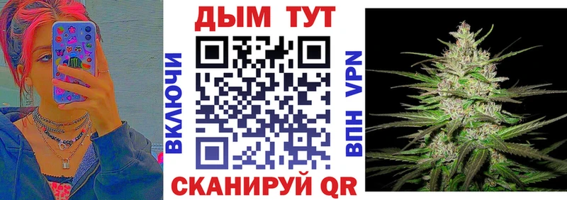 Каннабис гибрид  Ачхой-Мартан 